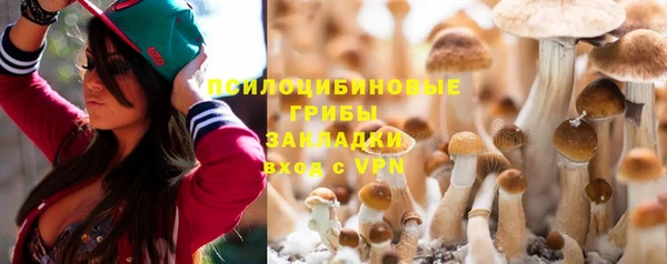 круглые Няндома
