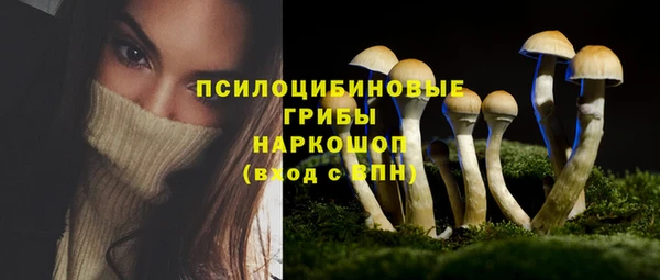 мдпв Нязепетровск