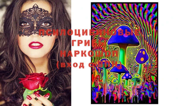 apvp Нягань