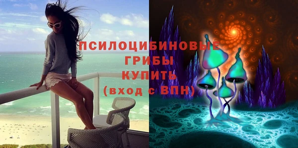 apvp Нягань